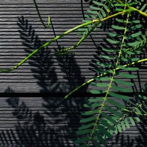 China Sturdy Wood Plastic Composite Panel Boards Fireproof Lightweight wholesale