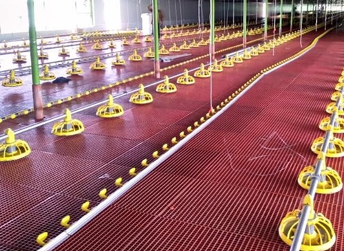 Broiler Chicken Farm 610 Grow Room Environment Controller