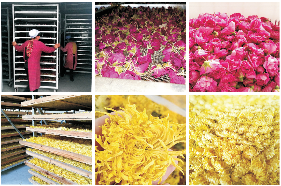 Heat pump drying process