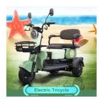 EU Stock Electric Offroad Scooter Motorcycle for Passenger 3 Wheel Adult Trike