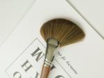 Brown Powder Fan Brush , Multifunction Single Powder Brush