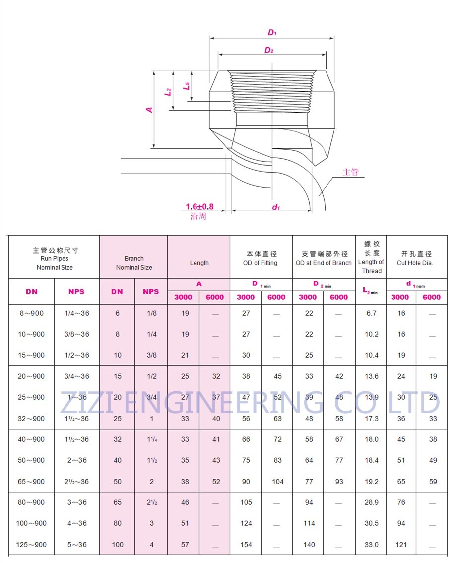 ASTM A105 1 / 2" - 4" Olet Pipe Fittings Carbon Steel Threadolet ASME B16.11