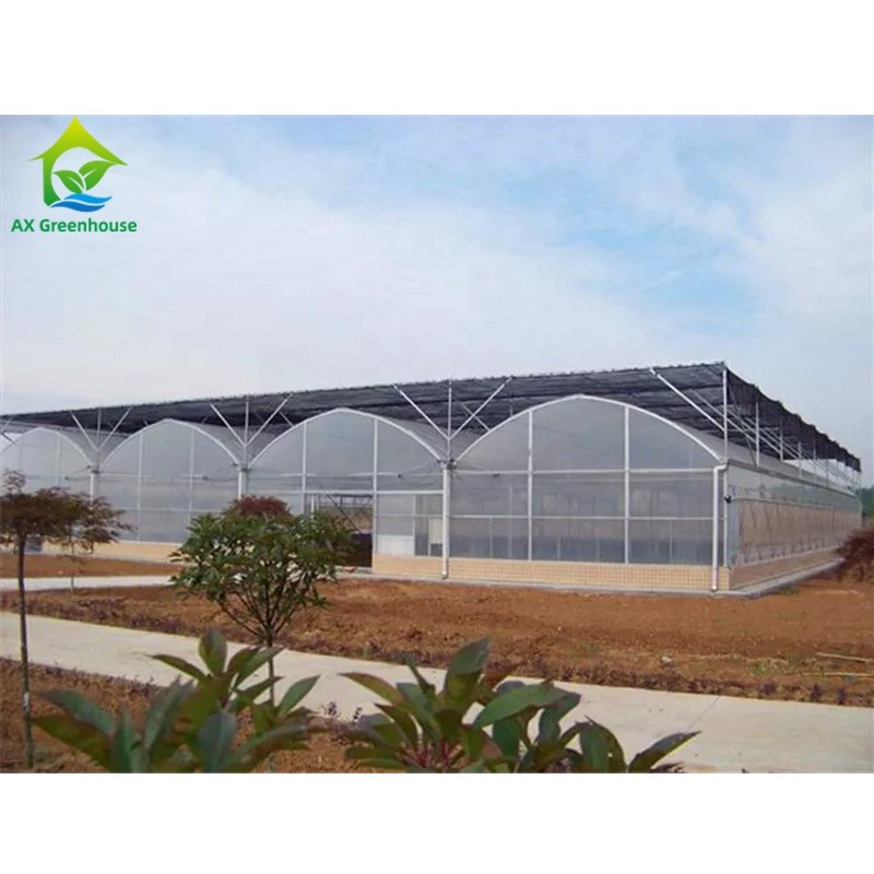 Agricultural Polyhouse Multi-span Plastic UV Film Greenhouse Drying House For Flowers
