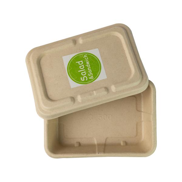 Molded Sugarcane bagasse Throw Away Meal Prep Containers , Biodegradable Salad