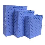 30gsm-160gsm Rose Pink Blue Glitter Gift Bags For Supermarket