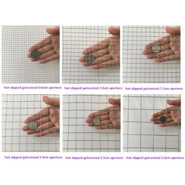Square Hole 0.8m - 1.5m Height Welded Wire Mesh Rolls PVC Coated For Ram Wire