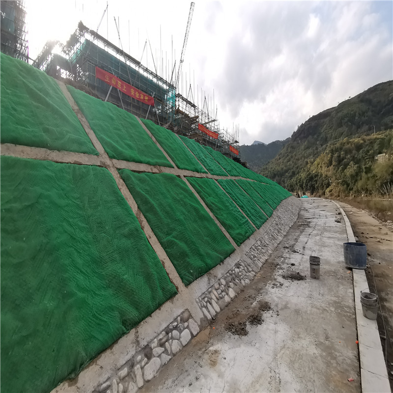 3D Geomat HDPE PE Plastic Net for 2.0m-2.5m Width Erosion Control and Drainage System