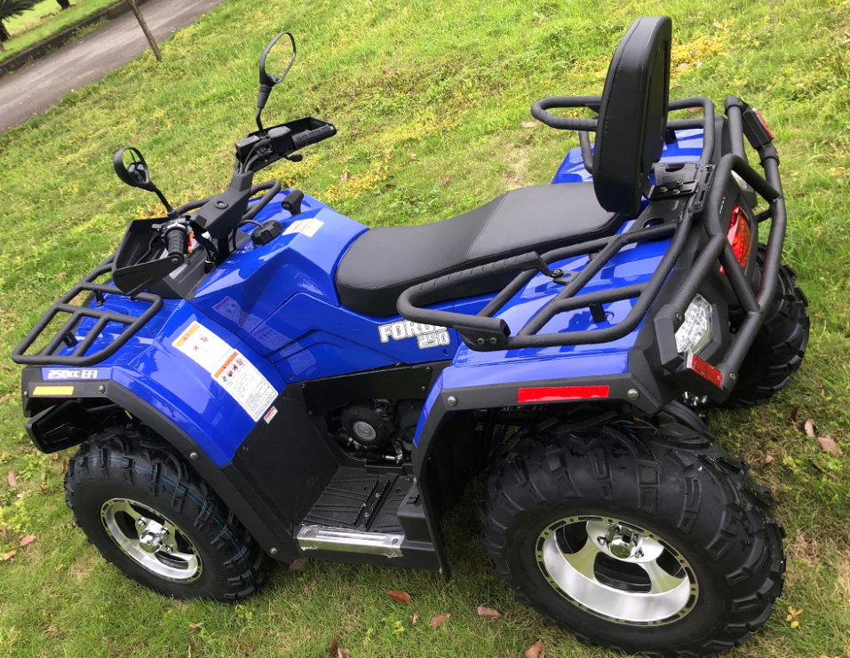 1000W Single-cylinder Water-cooled Engine Two-drive Chain Drive Hisun 250cc ATV with 1