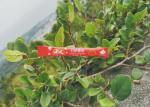 Customizable 5g Disposable White Sugar Sticks