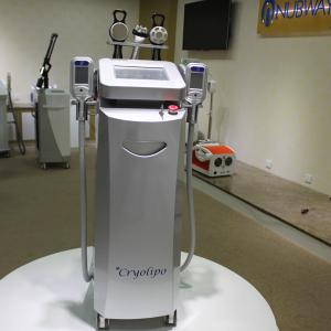 China PROMOTION!!! two lipolysis handles / Cryotherapy fat freezing Beauty Machine wholesale