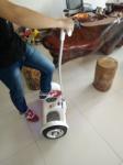 skateboard new hot sale