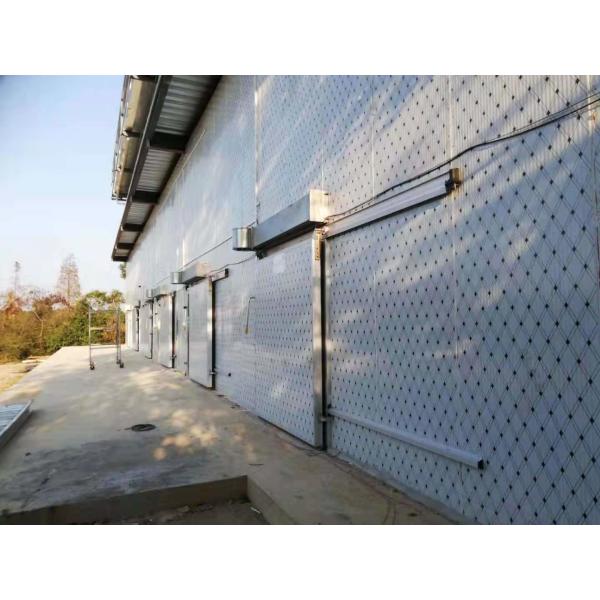 380V Walk In Cold Storage Room For Fish Meat Vegetable -20 ~ + 20 Degree Temperature