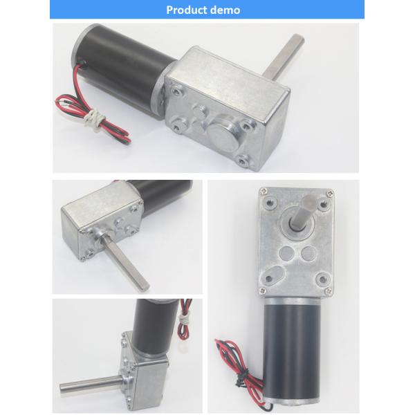 51mm Shaft DC Worm Gear Motor 200RPM 12 Volt Bldc With Dual Ball Bearing