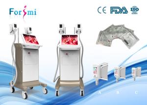 China 2 handles work together new design Fat Freeze body Cryolipolysis slimming beauty equipments for hot sale wholesale