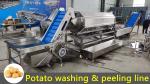 Automatic Clean Root Vegetable Asparagus Washing Line with Fruit Vegetable