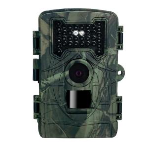 China JPG AVI HD Trail Camera 34pcs LED 24MP 1080P Hunting Night Vision Wildlife Camera wholesale