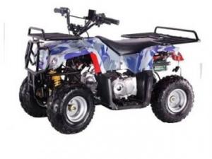 China 50cc-125cc Air Cooled Auto Clutch ATV/Quad wholesale