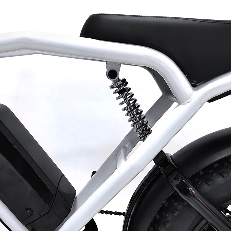 48V 500W City Bike Long Range Retro E-Bike with Powerful Lithium Battery and Disc Brake