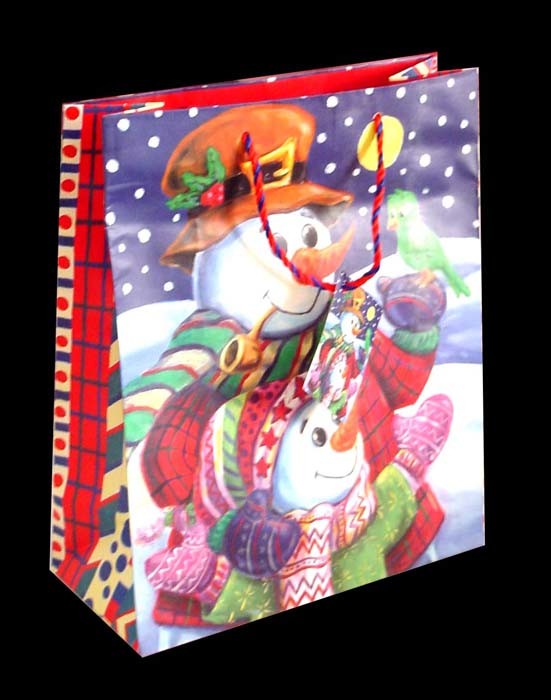 Lovely design colorful printing paper bag for gift for Christmas Day
