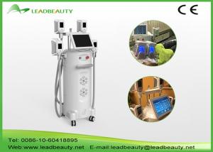 China 100% fat freeze cryo sculpting body slimming 3d china cryolipolysis machine wholesale