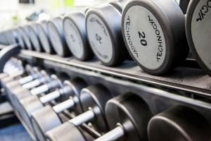 China dumbbells for gym OEM the dumbbell wholesale