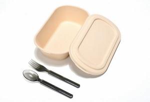 China Biodegradable Bamboo Pulp Food Container Microwaveable With Cover Safety wholesale