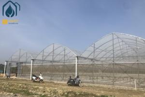 China Film Multi Span Nursery Greenhouse Prefabricated Hydroponic System Greenhouse wholesale