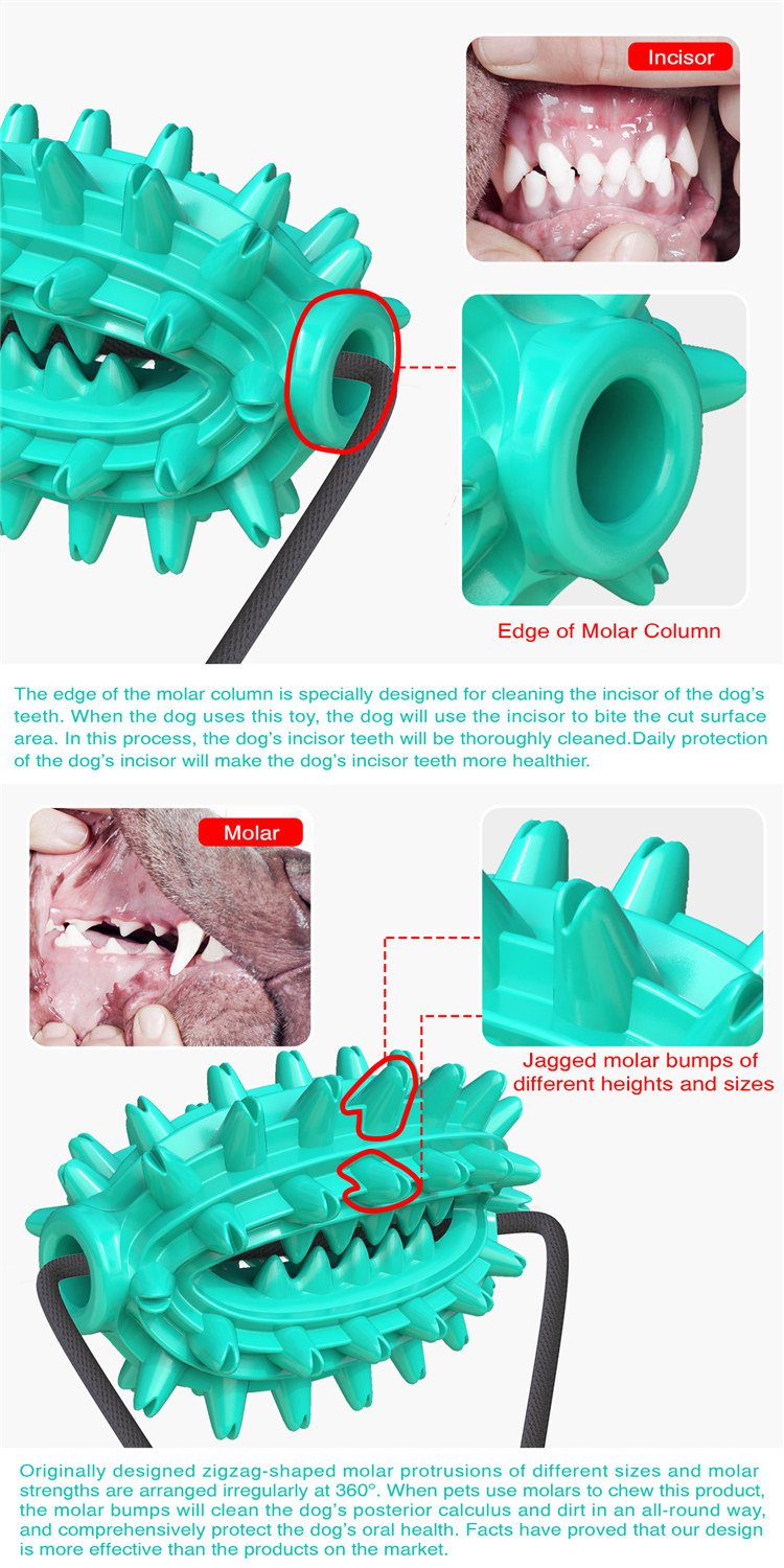 Teeth Cleaning TPR Dog Toothbrush Toys With Elastic Interactive Toys Pet Products