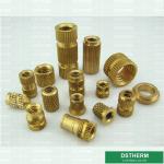Customized Designs CPVC Fittings PVC Fittings Brass Inserts Brass Color Female