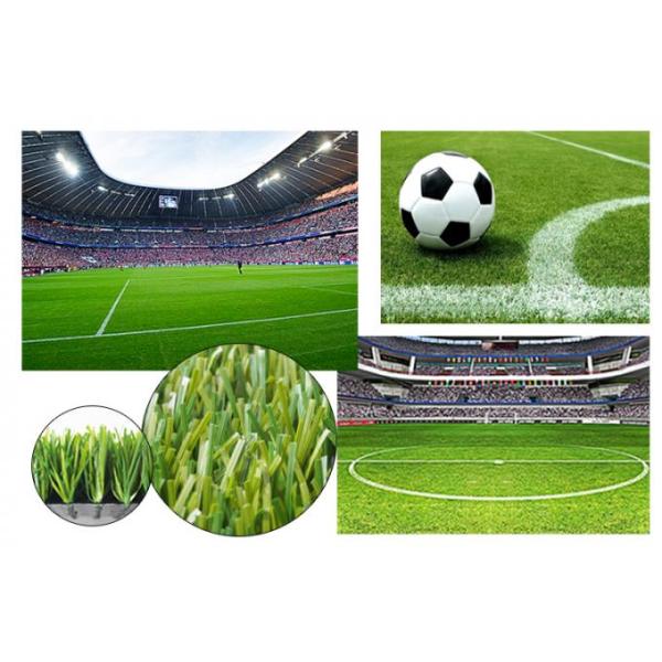 UV Resistant Hard Wearing Artificial Grass Football Field 50mm PE Stem Fireproof