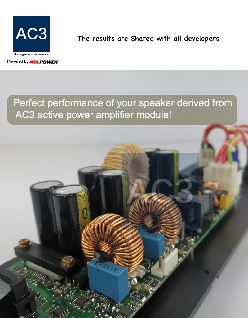 1300W Subwoofer Amplifier Module