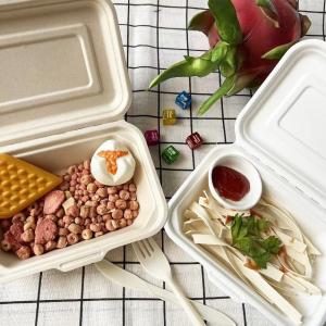 China 600ml Lunch Biodegradable Bagasse Tableware Disposable Takeaway Containers wholesale