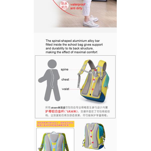 Resin Mesh Carrying System Multi-Color Waterproof Laptop Backpack 15 Inch for Customizable Bulk Order School Travel Bags