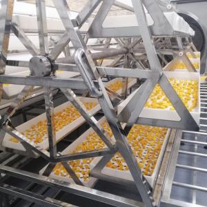 China 24KW Commercial Microwave Vacuum Dryer Pineapple Mango Dehydrator Oven wholesale