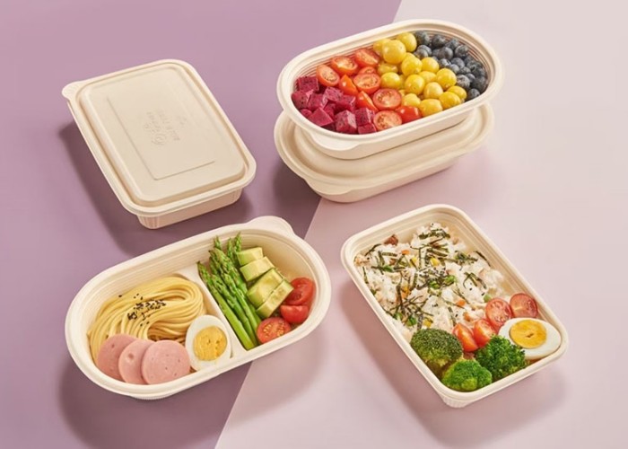 Vacuum Tray Food Container Thermoforming Machine Disposable Biodegradable