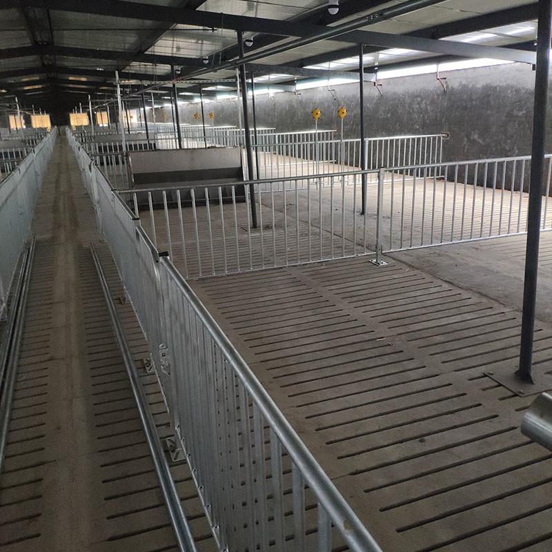 HI HOPE Piggery Farm Equipment Finisher Finishing Pen Crate