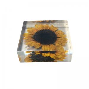 China Cubic acrylic resin paper weight with insect and flowers inside acrylic paperweight wholesale