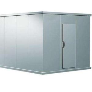 China Chicken Blast Freezer Room, Walk in Cooler Room, Industrial Blast Freezers Storage wholesale