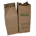 2ply Kraft Large Lawn Paper Bags Yard Waste Paper Refuse Bags Moisture Proof