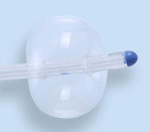 China FSC Silicone 6-26 French 2 Way Foley Balloon Catheter Medical Grade Disposable wholesale