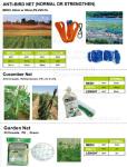 Weed Control Mulch Film, Agriculture Vegetable Black PE Films, 5 Holes