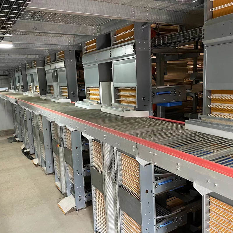 3 Tiers 4 Tiers H Type Layer Chicken Cage 25.5*24.5'' Hopper Feeding