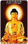 PVC Buddhism cards / Buddha cards / Religious cards