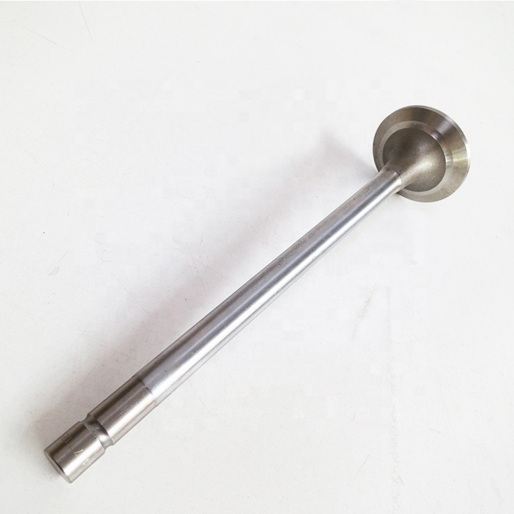 Sinotruk HOWO Spare Parts Wd615 Engine Air Exhaust Intake Valve 612600050073