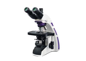 3w Led Medical Laboratory Microscope ,Ergonomic Design Student Compound Microscope