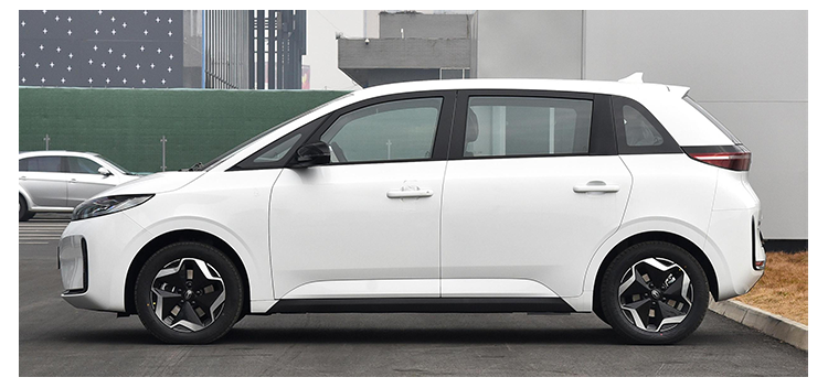 BYD D1 Electric Car MPV Multi Purpose Vehicle Accelerate Quickly Long Endurance
