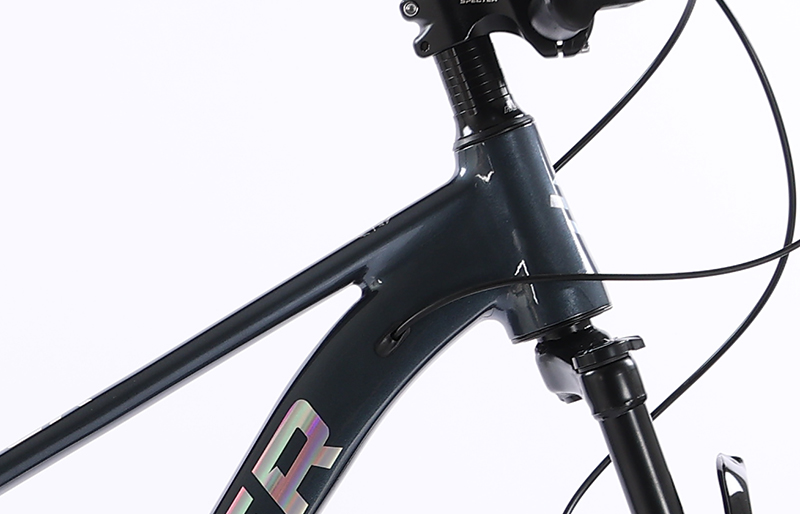 172-182CM Hydraulic Groupset OEM MTB 29 Inch Bicycle Aluminium Alloy Mountainbike 10 12Speed Mountain Bike for Man Gear Cycle