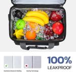 Double Decker Cooler Bag For Frozen Food Collapsible Insulated Cooler 27L