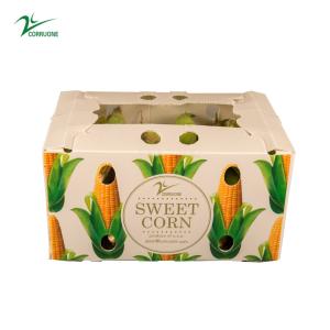 China 1.5mm-30mm PP Corrugated Plastic Packaging Boxes White Green Blue wholesale