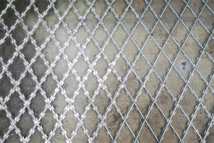 South Africa Bto22 Hot Dipped Galvanized Concertina Razor Barbed Wire Fence For Prision